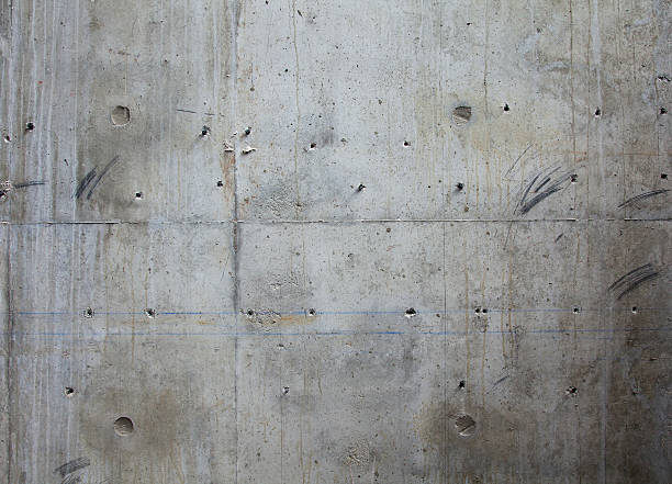 Best Custom Concrete Contractor  in Fish Hawk, FL